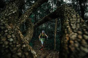 BIB: 
                            <button type="button" onclick="openModal(25673125)" class="btn btn-primary btn-sm float-right btn-popup" data-toggle="modal" data-target=".modal-high-quality">
                        <i class="fas fa-shopping-cart"></i> Add to Cart
                    </button>
                                            <button type="button" onclick="isThisMe(25673125, true)" class="btn btn-success btn-sm float-right btn-popup btn-isme hidden" data-toggle="tooltip" data-placement="bottom" title="นี่คือรูปของคุณใช่ไหม คลิกที่นี่เพื่อเอาเข้าอัลบั้ม">
                        <i class="fas fa-plus"></i> Add to album
                    </button>
                    <button type="button" onclick="isThisMe(25673125, false)" class="btn btn-warning btn-sm float-right btn-popup btn-isnotme hidden">
                        <i class="fas fa-ban"></i> Remove from album
                    </button>